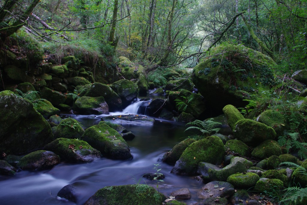 Foto de Padrenda (Ourense), España