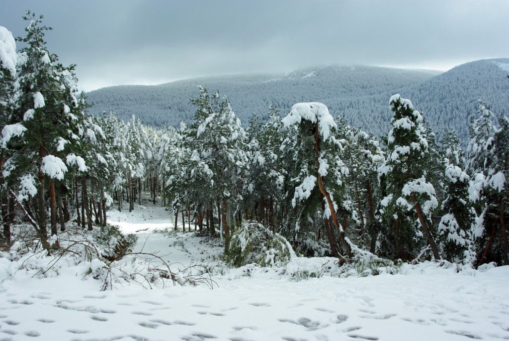 Foto de Manzaneda (Ourense), España