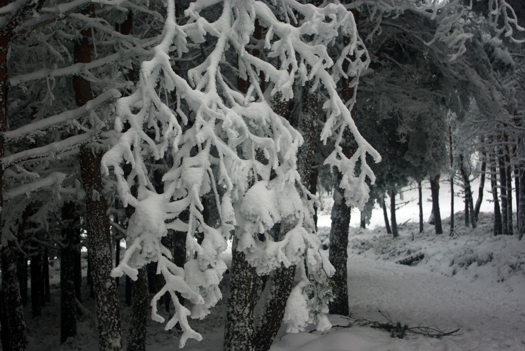 Foto de Manzaneda (Ourense), España