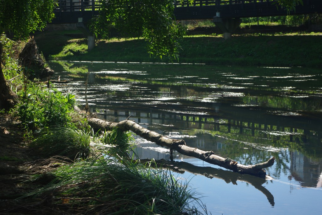 Foto de Leiro (Pontevedra), España