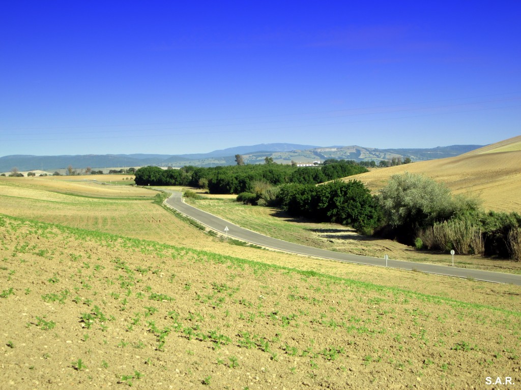 Foto: Vista desde el Cortijo - San José del Valle (Cádiz), España