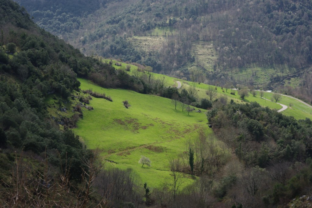 Foto de Asiegu (Asturias), España