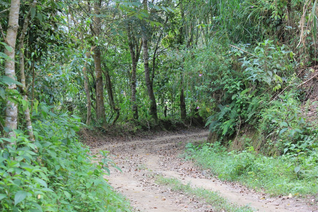 Foto de Jauregui (Táchira), Venezuela