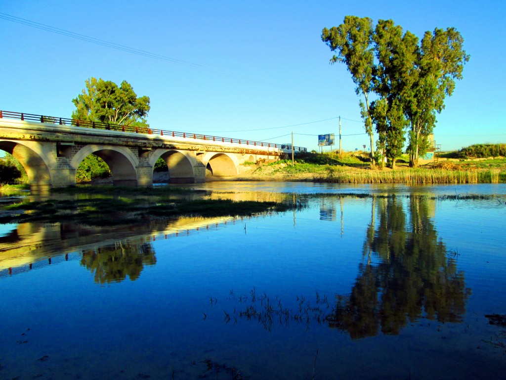 Foto: En la otra orilla - Lomoparado (Cádiz), España