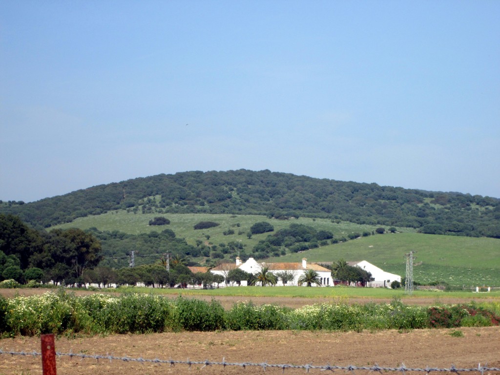 Foto: Cortijo Coloma y Monrreala - Naveros (Cádiz), España