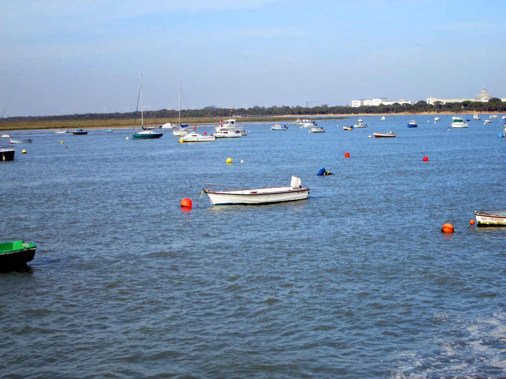 Foto: Río San Pedro - Matagorda (Cádiz), España