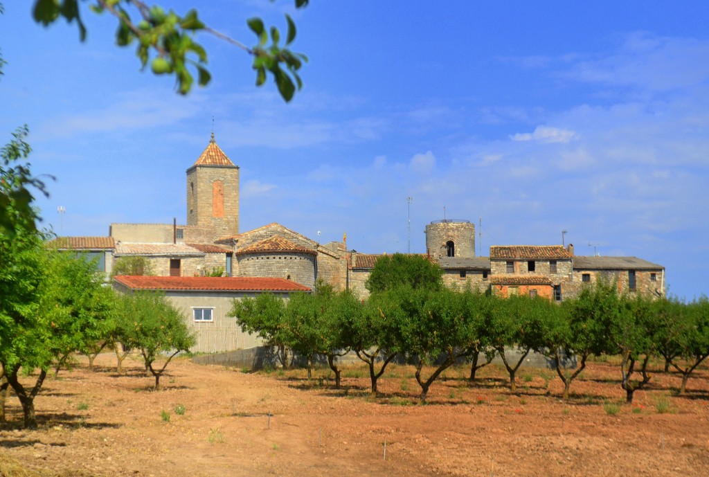 Foto: Que bonito! - Ametlla de Segarra (Lleida), España