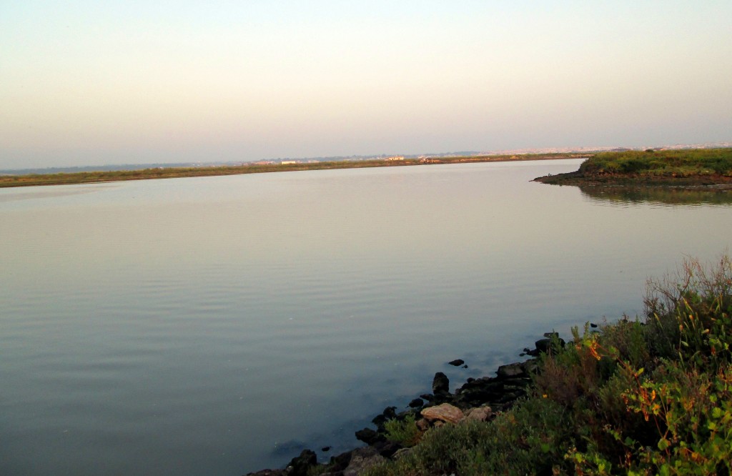 Foto: Caño Sancti Petri - San Fernando (Cádiz), España