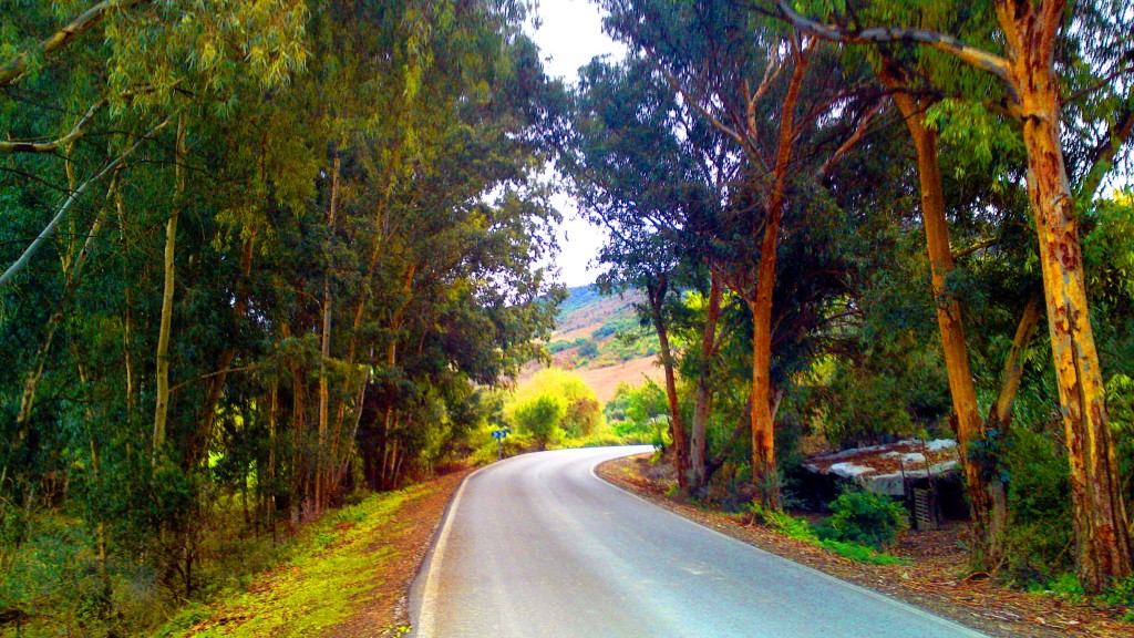 Foto: Carretera Los Llanos - San José del Valle (Cádiz), España