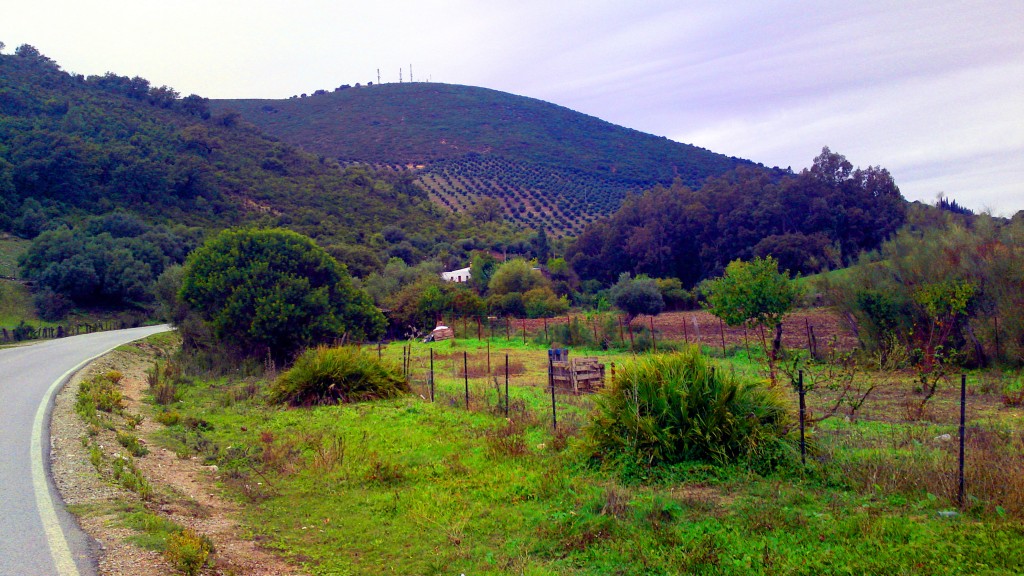 Foto: Los Llanos - San José del Valle (Cádiz), España