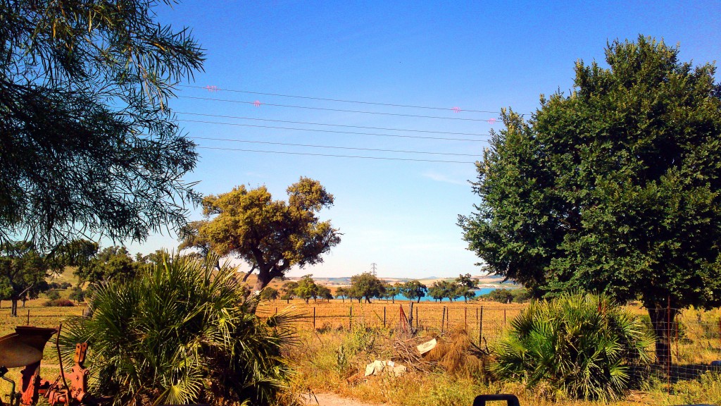 Foto: Al fondo el pantano - San José del Valle (Cádiz), España