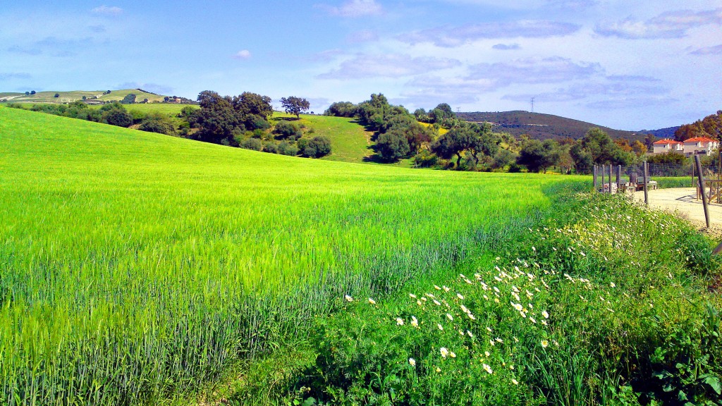 Foto: Paseo por la Garganta - San José del Valle (Cádiz), España