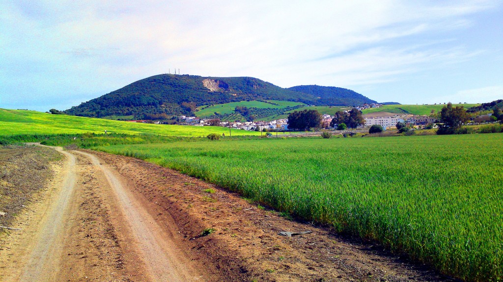 Foto: Camino de Brioles - San José del Valle (Cádiz), España