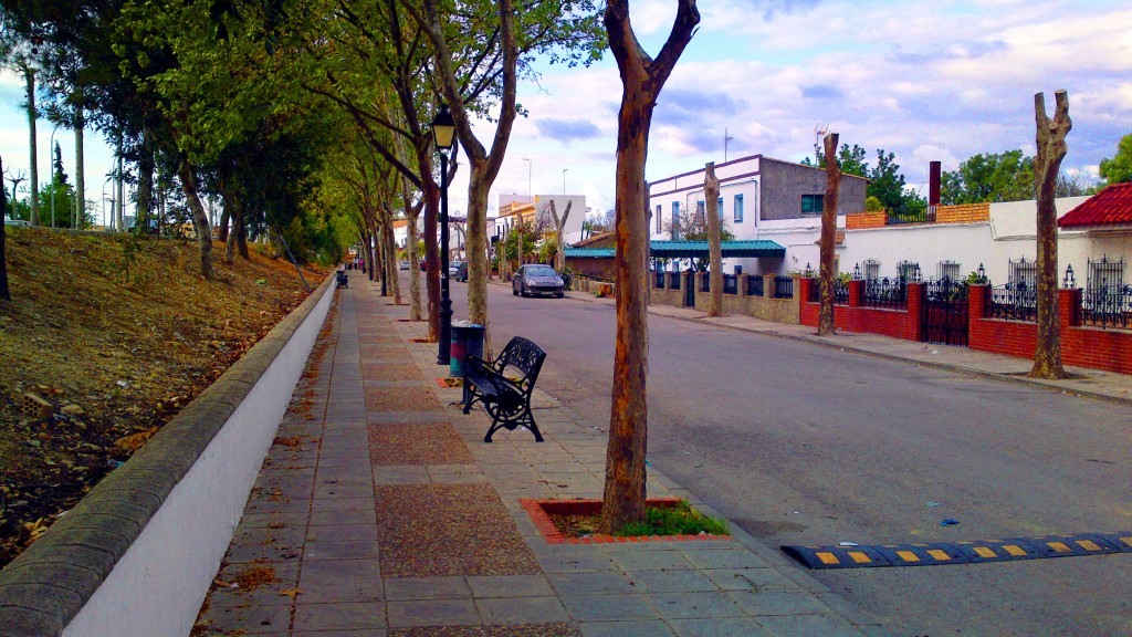 Foto: Hacia la Venta Durán - San José del Valle (Cádiz), España