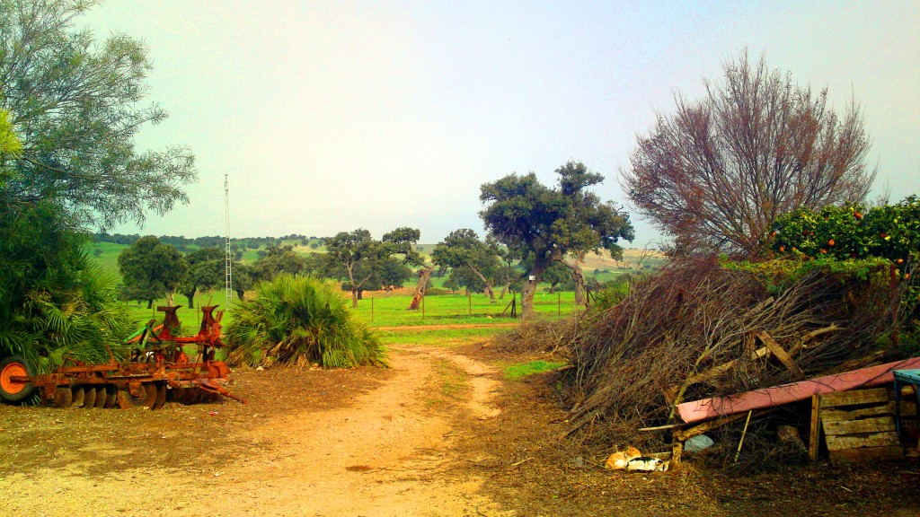 Foto: Aperos de labranza - San José del Valle (Cádiz), España