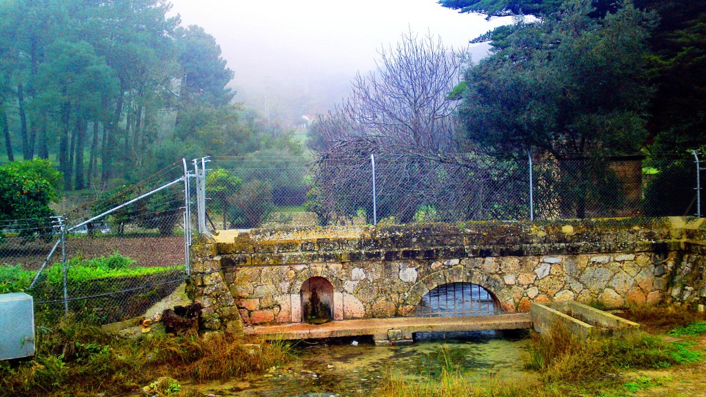 Foto: Tempul el nacimiento - San José del Valle (Cádiz), España