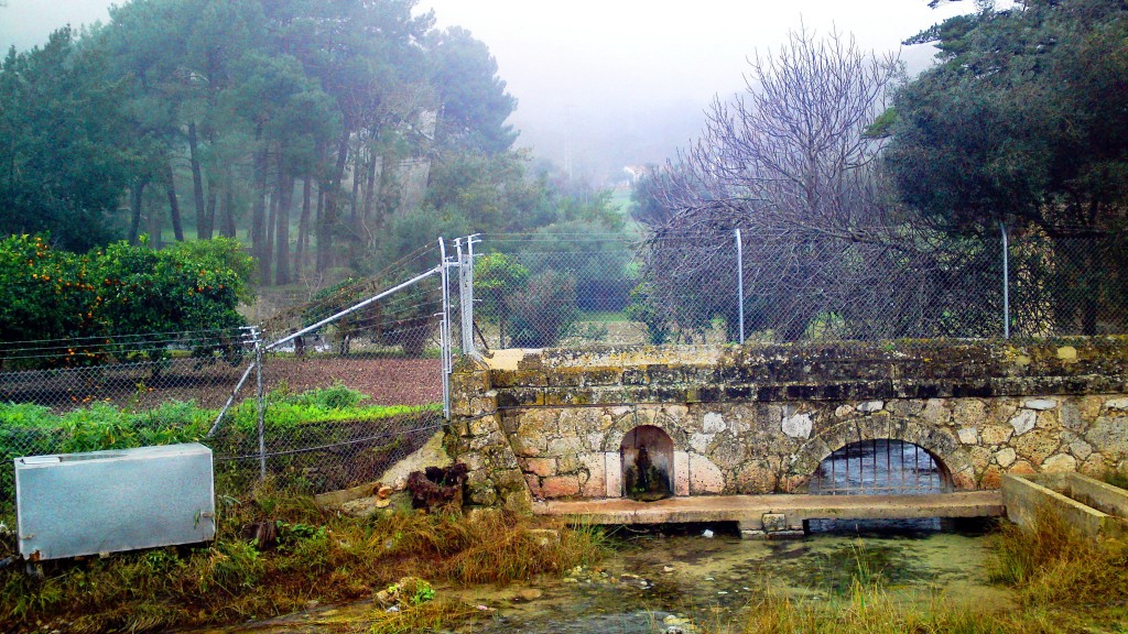 Foto: Tempul el nacimiento - San José del Valle (Cádiz), España