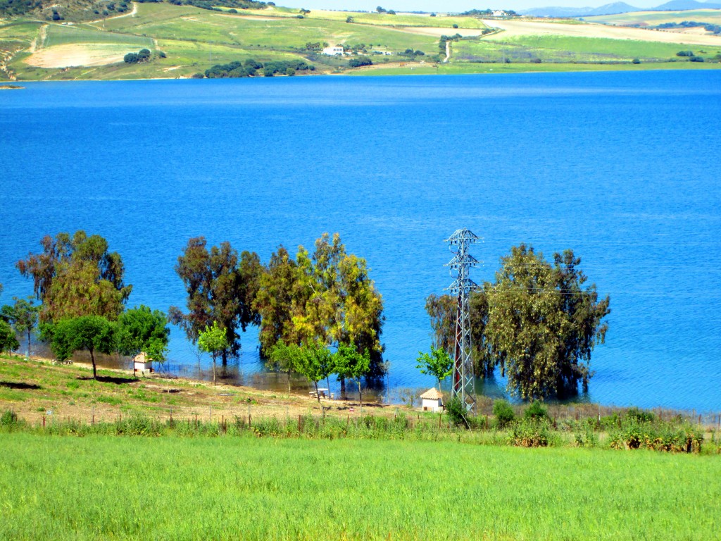 Foto: Embalse de Guadalcacín - San José del Valle (Cádiz), España