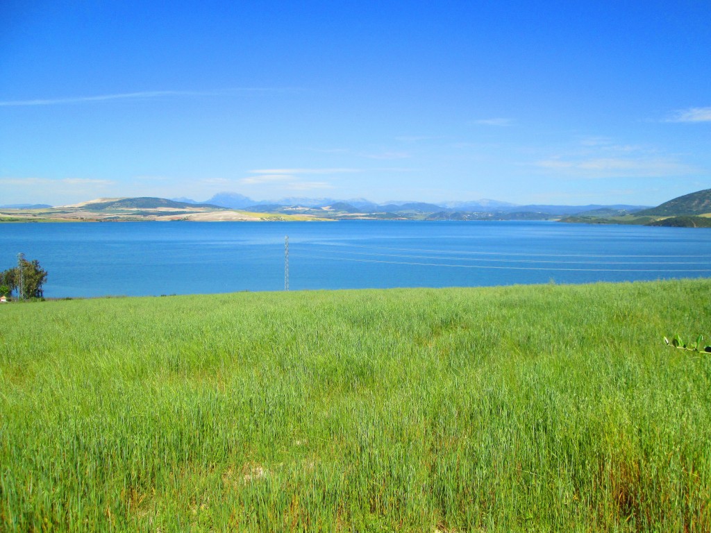 Foto: Embalse de Guadalcacín - San José del Valle (Cádiz), España