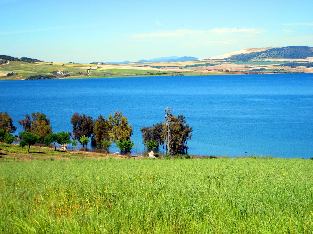 Foto: Embalse de Guadalcacín - San José del Valle (Cádiz), España