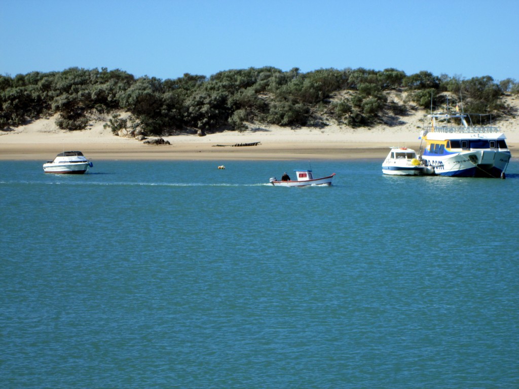 Foto: De regreso - Sancti Petri (Cádiz), España