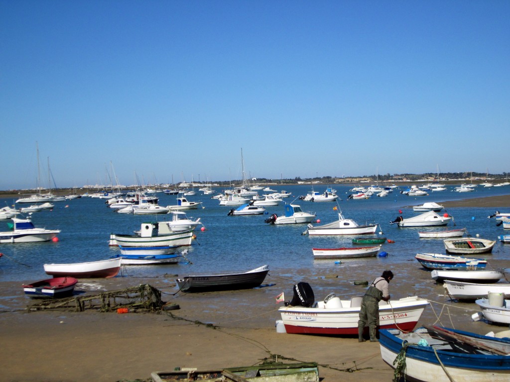 Foto: Al fondo el Cerro de los Mártires - Sancti Petri (Cádiz), España