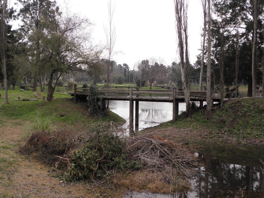 Foto: Campanópolis - González Catán (Buenos Aires), Argentina