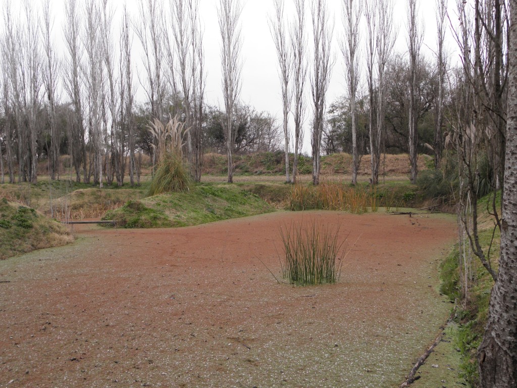 Foto: Campanópolis - González Catán (Buenos Aires), Argentina