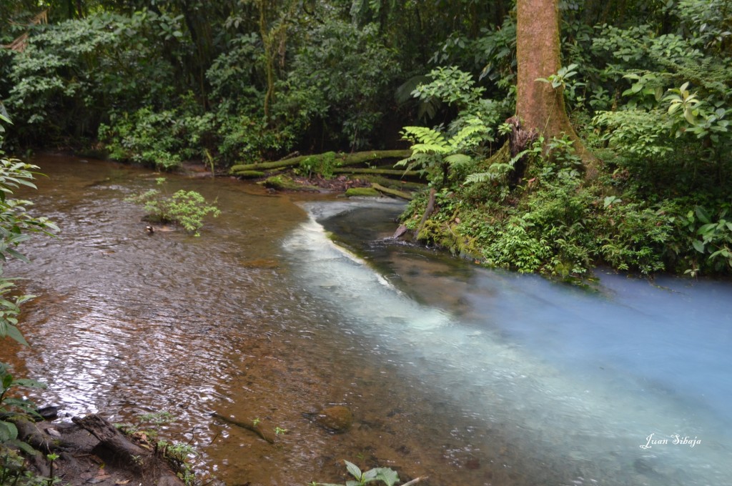 Foto de San carlos, Rio Celeste (Alajuela), Costa Rica