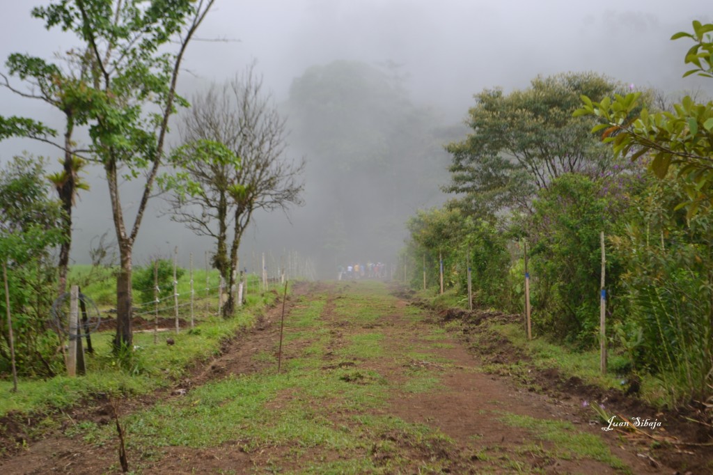 Foto de San Carlos, Rio Celeste (Alajuela), Costa Rica