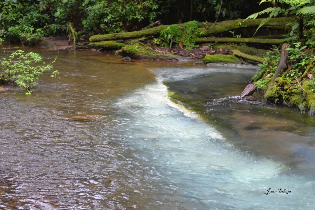 Foto de San Carlos, Rio Celeste (Alajuela), Costa Rica