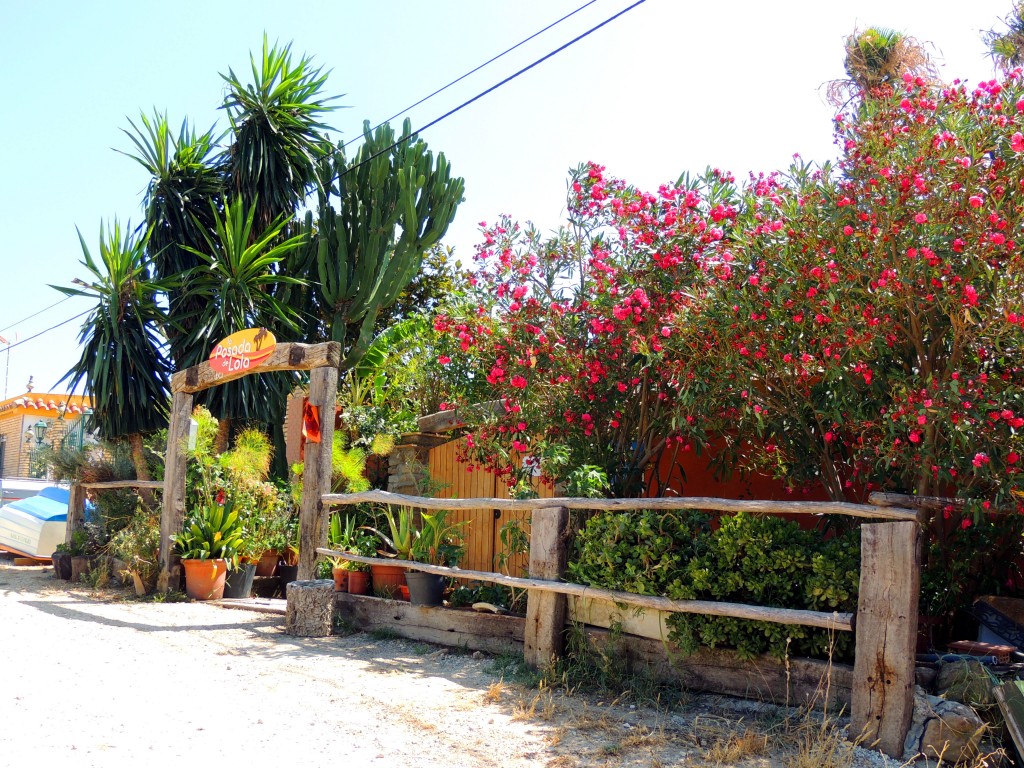 Foto: La Posada de Lola - El Lentiscal (Cádiz), España