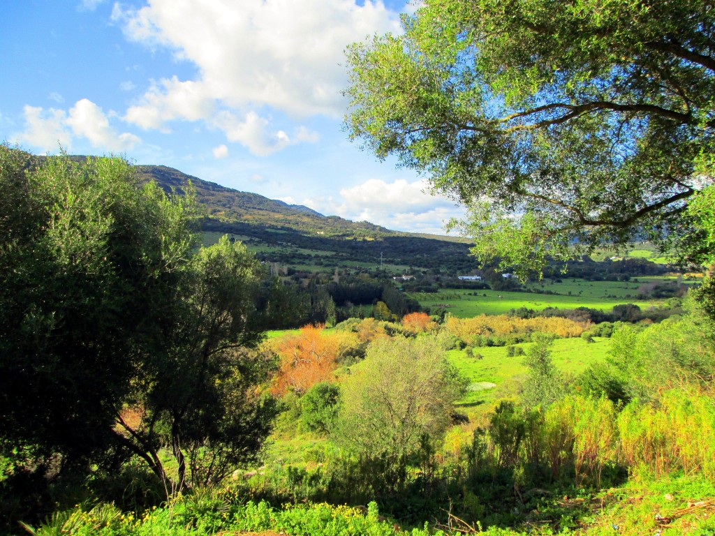 Foto: Vista desde el Santuario - Tarifa (Cádiz), España