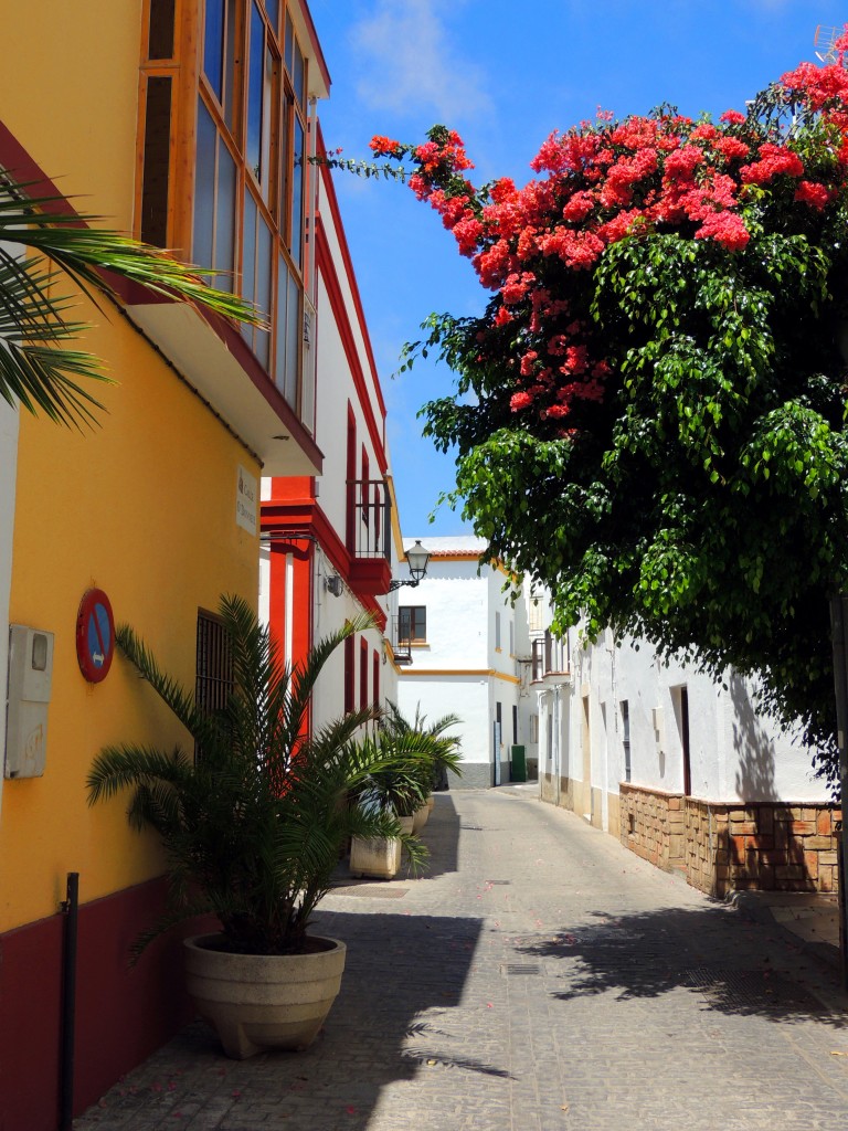 Foto: Calle O'Donell - Rota (Cádiz), España