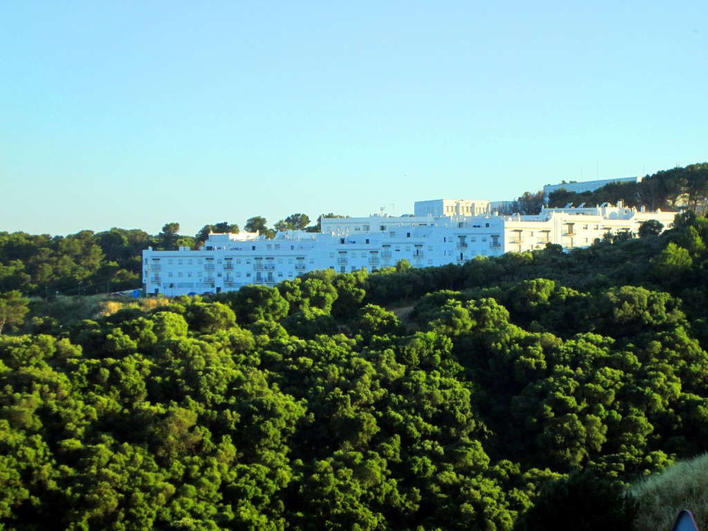 Foto: La Oliva - Vegér de la Frontera (Cádiz), España