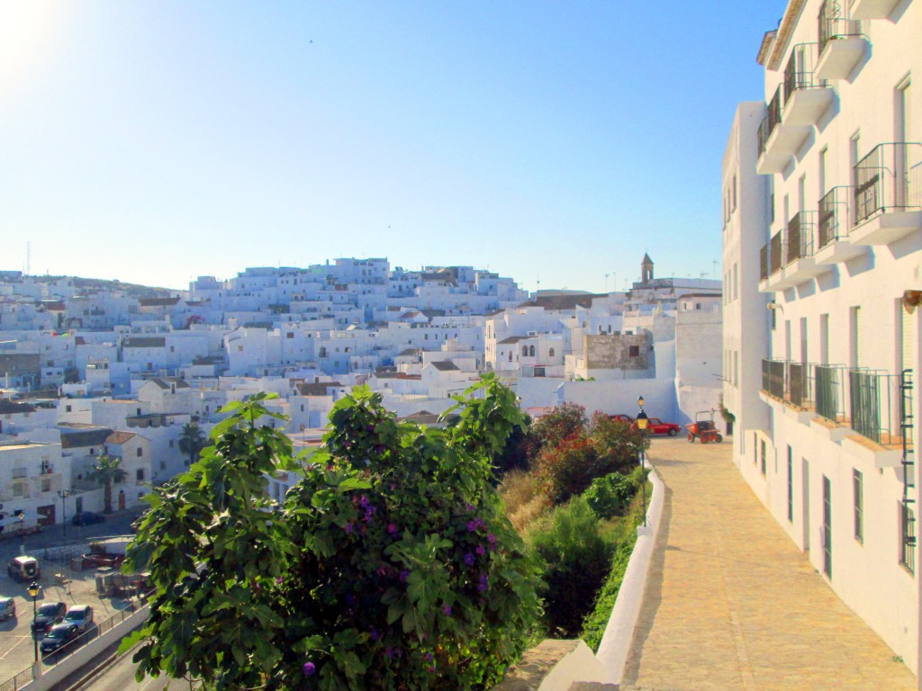 Foto: Veger desde Juan Bueno - Vegér de la Frontera (Cádiz), España