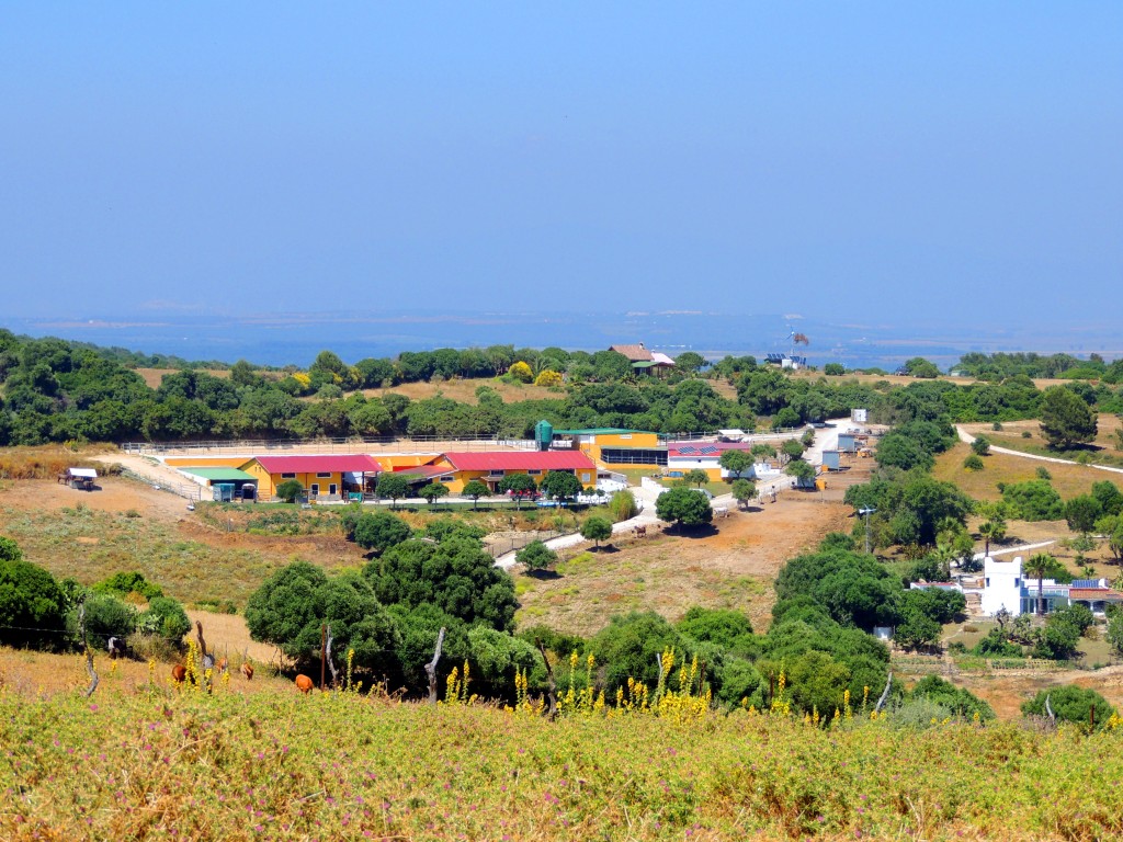 Foto: Finca La Mimbre - Vegér de la Frontera (Cádiz), España