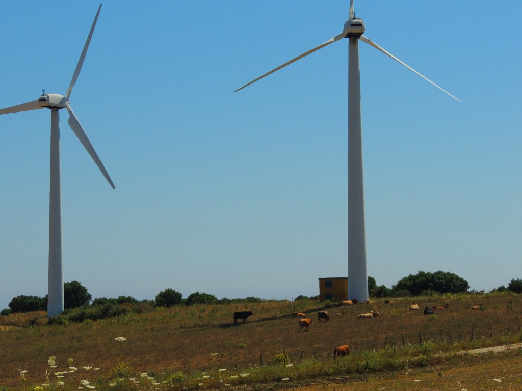 Foto: Al fresco del ventilador - Vegér de la Frontera (Cádiz), España