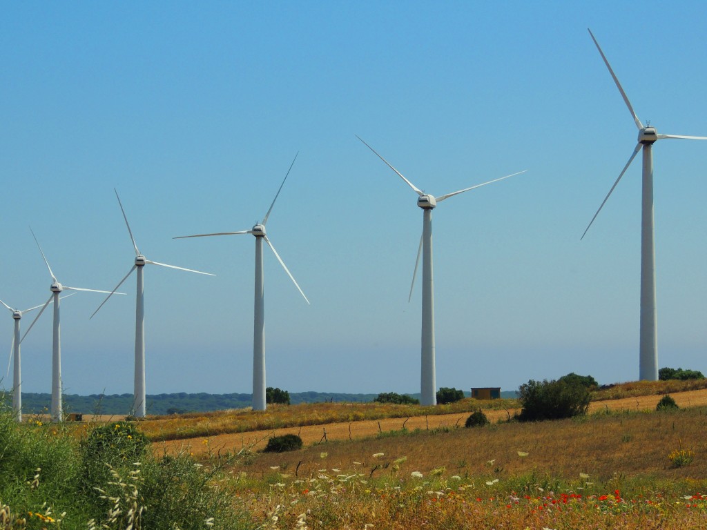 Foto: Parque Eólico - Vegér de la Frontera (Cádiz), España