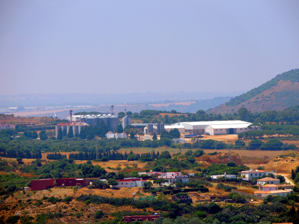 Foto: Al fondo los silos de la Cooperativa Divino Salvador - Vegér de la Frontera (Cádiz), España