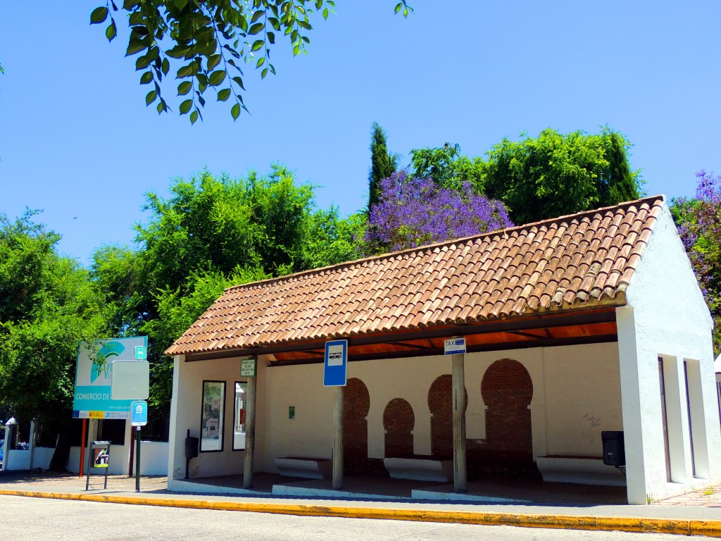 Foto: Parada de Taxis - Vegér de la Frontera (Cádiz), España