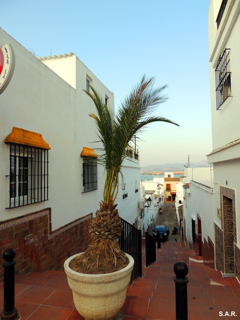 Foto: Bajada a Corredera - Bornos (Cádiz), España