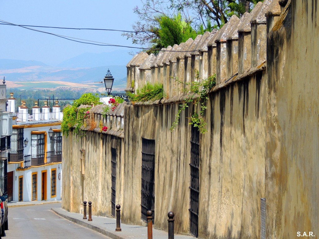 Foto: Muralla del Palacio Los Ribera - Bornos (Cádiz), España