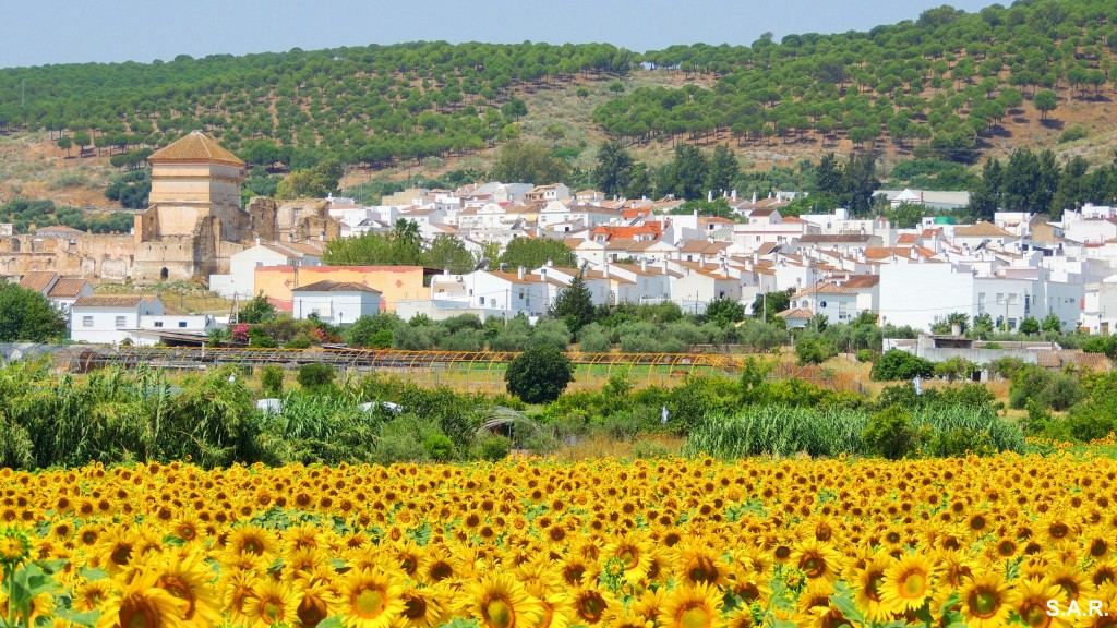 Foto: Lugar de tradiciones - Bornos (Cádiz), España