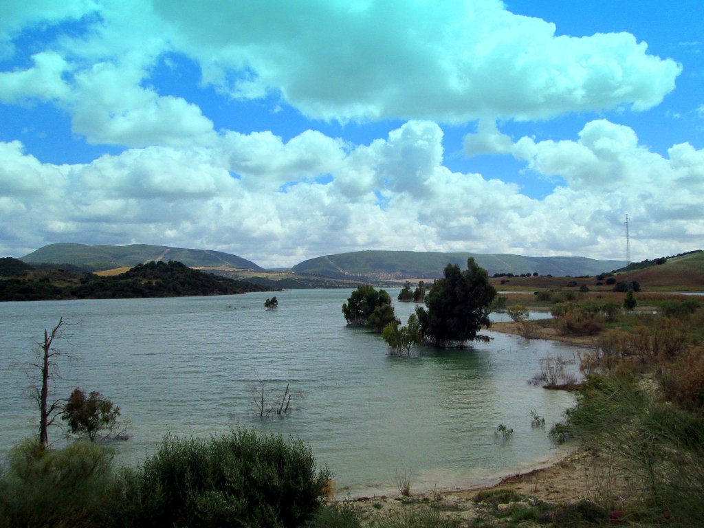 Foto: Guadalcacín desde La Perdiz - Venta La Perdiz (Cádiz), España