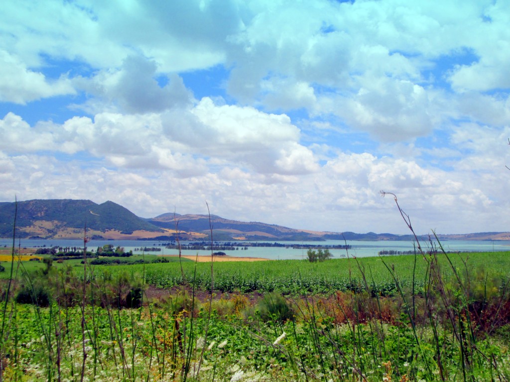 Foto: Arboleda - Venta La Perdiz (Cádiz), España