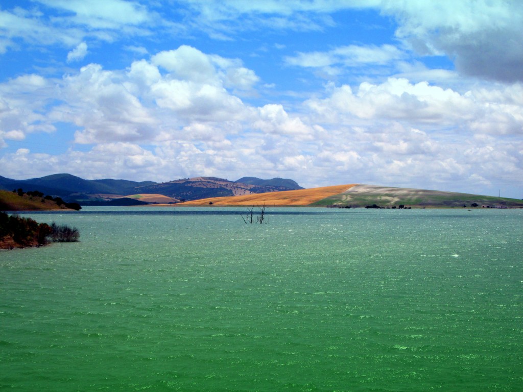 Foto: Al fondo el monte de la Cruz - Venta La Perdiz (Cádiz), España