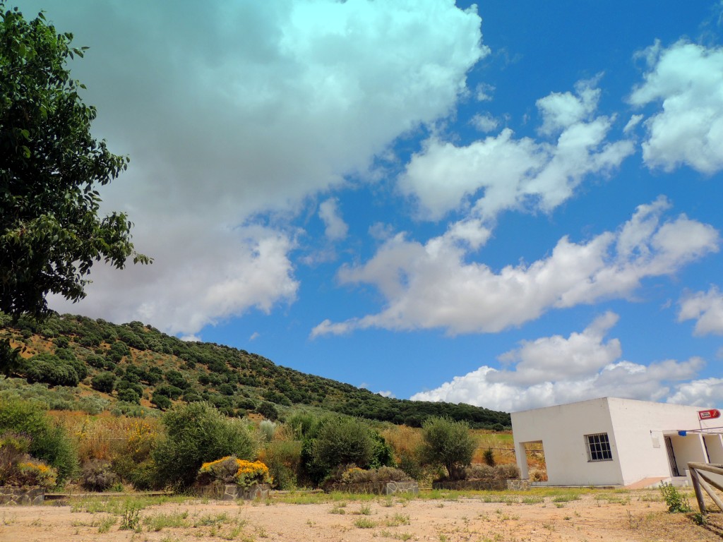 Foto: Sierra de Aznar - Venta La Perdiz (Cádiz), España