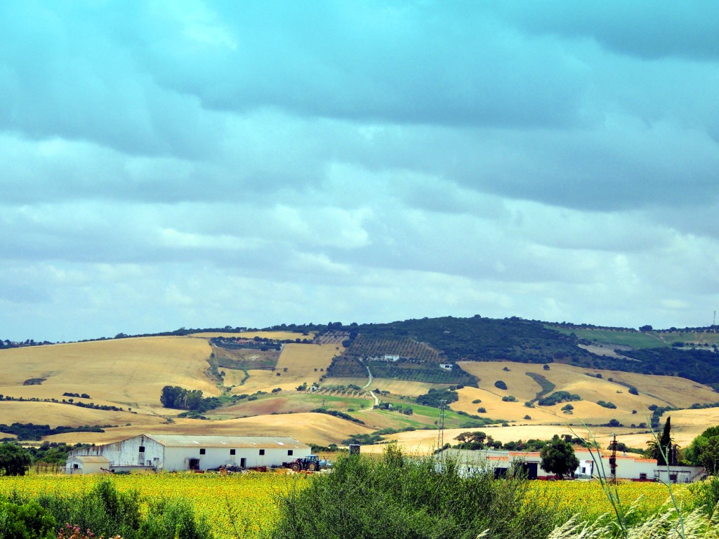 Foto: Cortijos - Venta La Perdiz (Cádiz), España