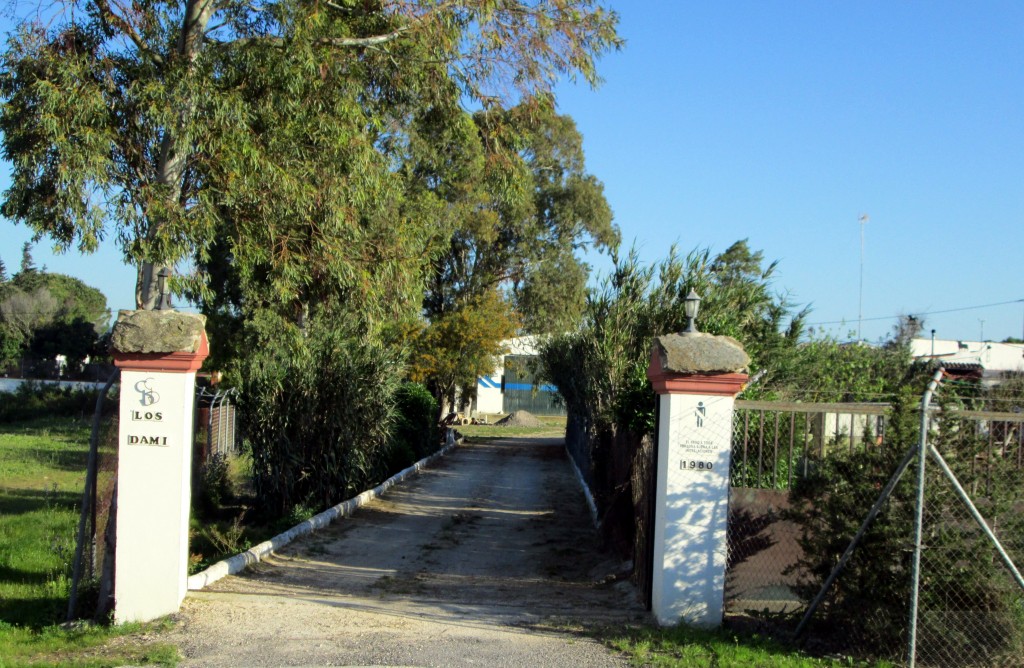 Foto: Los Dami - El Berrueco (Cádiz), España